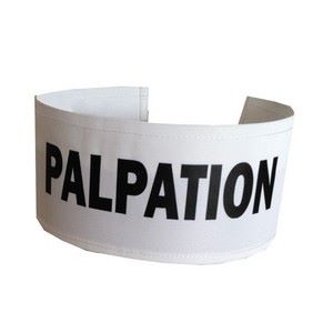 SECURITY PAT-DOWN ARMBAND